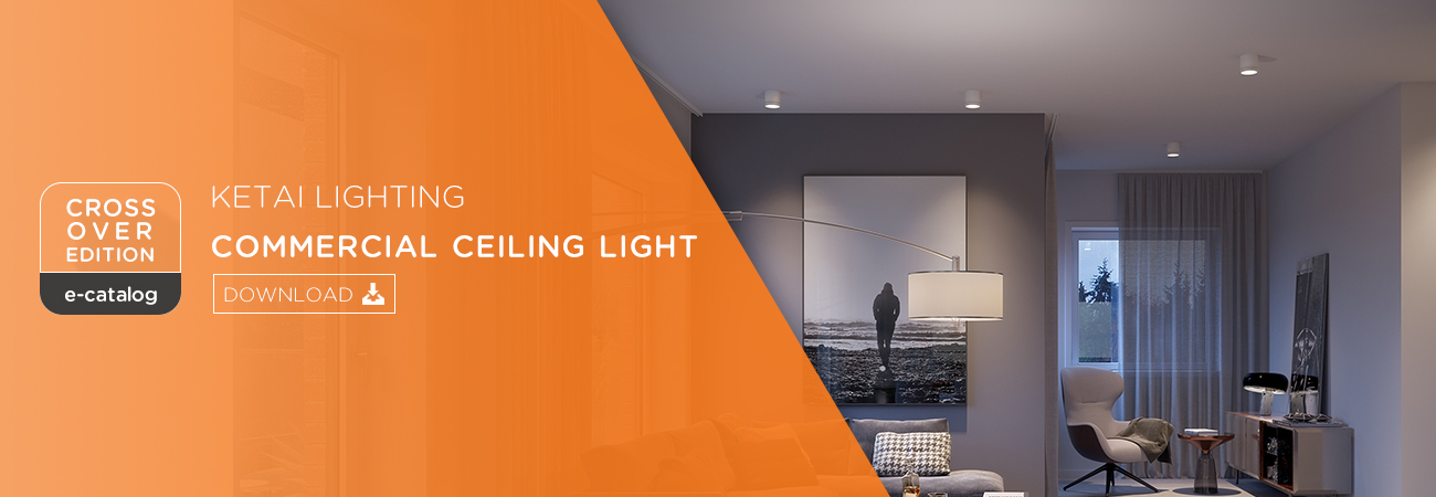indoor LED lighting ceiling light catalog